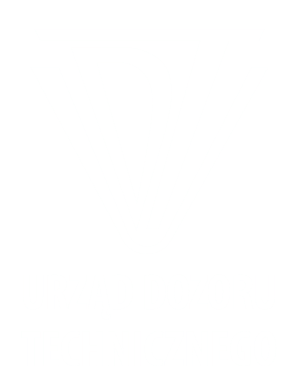 UDT